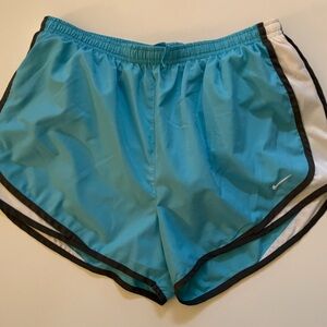 Nike Teal and White Dri-FIT Shorts